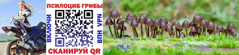 Галлюциногенные грибы Magic Shrooms  дарк нет клад  Котлас 